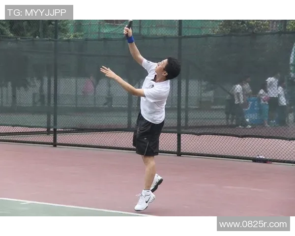 杨伟专访揭秘网球成功秘诀与背后故事分析