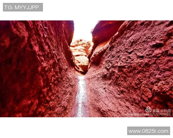 巴塞罗那与布拉格精彩对决回放全程回顾与分析