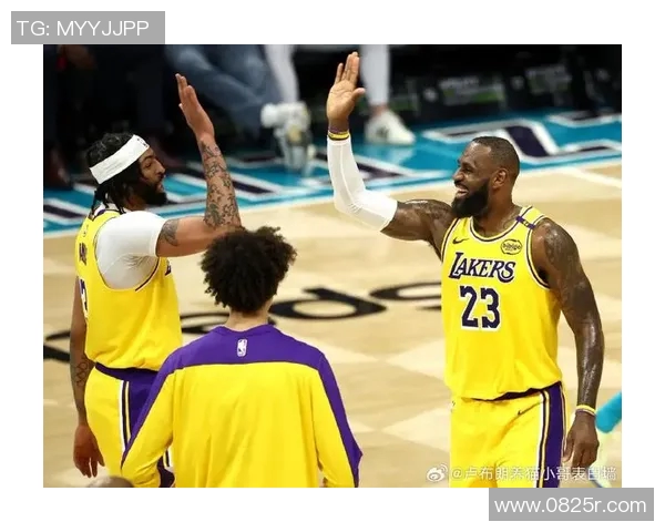 2013年湖人与黄蜂精彩对决回顾球星表现与比赛亮点分析 2013年湖人与黄蜂精彩对决回顾球星表现与比赛亮点分析