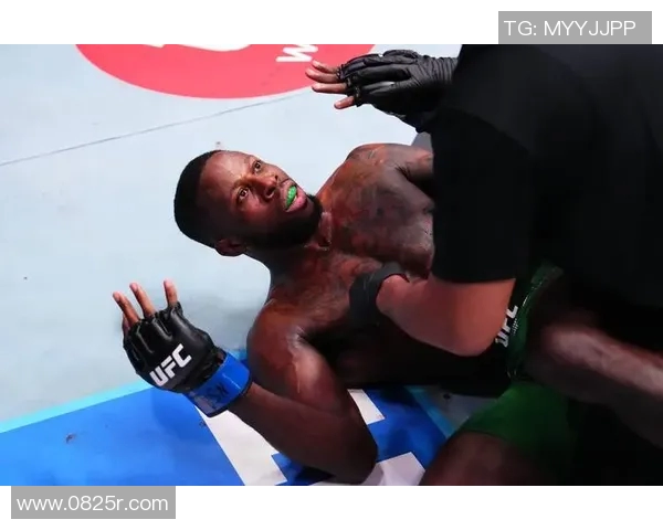 UFC凯恩与布朗精彩对决视频回顾全场精彩瞬间与战术分析