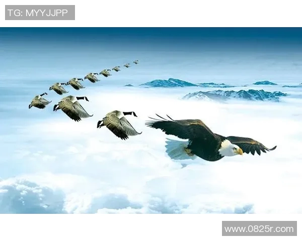 上海1980与生涯俱乐部的对决探索球员成长与团队精神的交汇点